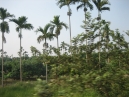 IMG_3468.jpg