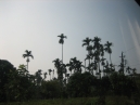 IMG_3470.jpg