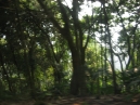 IMG_3478.jpg