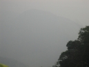 IMG_3496.jpg