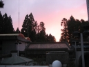 IMG_3516.jpg