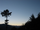 IMG_3527.jpg