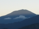 IMG_3533.jpg