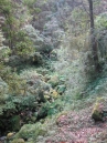 IMG_3592.jpg