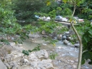 IMG_2899.jpg