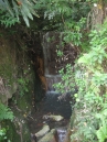 IMG_2912.jpg