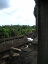 IMG_1144.jpg