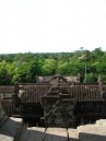 IMG_1147.jpg
