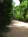 IMG_1155.jpg