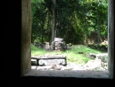 IMG_1159.jpg