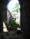 IMG_1172.jpg