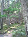 IMG_2406.jpg
