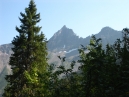 IMG_2423.jpg