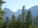 IMG_2442.jpg