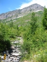 IMG_2443.jpg
