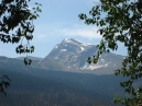 IMG_2445.jpg