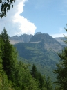 IMG_2446.jpg