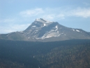 IMG_2447.jpg