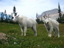 IMG_2461.jpg
