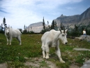 IMG_2462.jpg