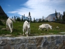 IMG_2464.jpg