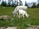 IMG_2466.jpg