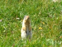 IMG_2467.jpg