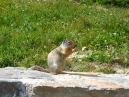 IMG_2468.jpg