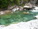 IMG_2479.jpg
