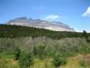 IMG_2533.jpg