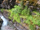 IMG_2553.jpg