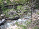 IMG_2554.jpg