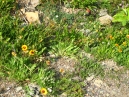 IMG_2569.jpg