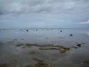 Clearwaters.jpg