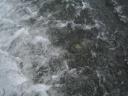 Wavestumblingaway.jpg
