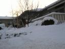 IMG_1594.jpg