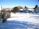 IMG_1608.jpg