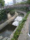 24River.jpg