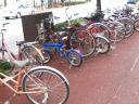 4Bicycles.jpg