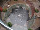 9992Courtyard.jpg
