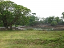 IMG_0731.jpg