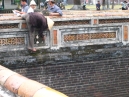 IMG_0742.jpg