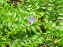 IMG_0787.jpg