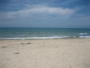 IMG_0896.jpg