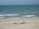 IMG_0898.jpg