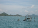 IMG_0910.jpg