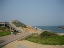 IMG_2952.jpg