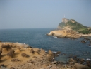 IMG_2954.jpg