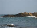IMG_2960.jpg
