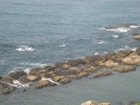 IMG_2980.jpg